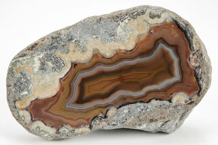 Colorful, Polished Condor Agate - Argentina #209596